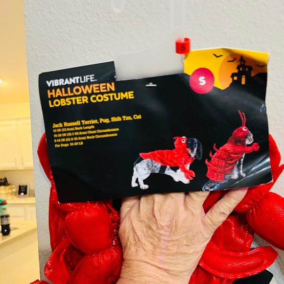 Vibrantlife Halloween Lobster Costume - Picture 2 of 2